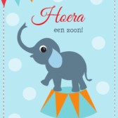 zoon